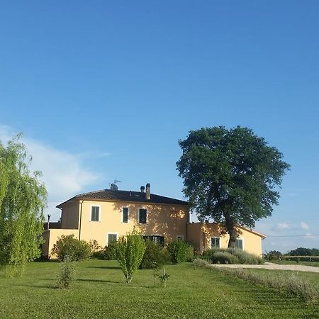 B&B Le Rose Spello Exteriör bild