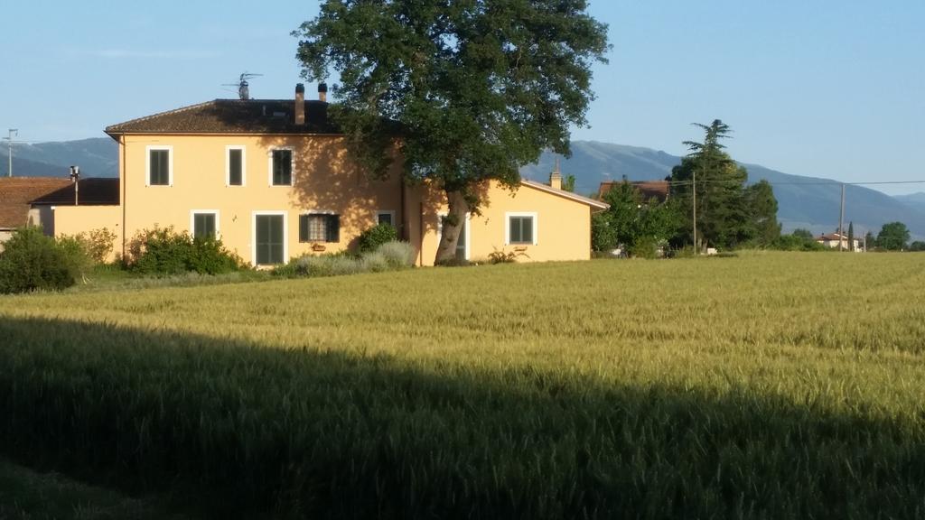 B&B Le Rose Spello Exteriör bild