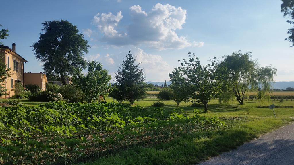 B&B Le Rose Spello Exteriör bild