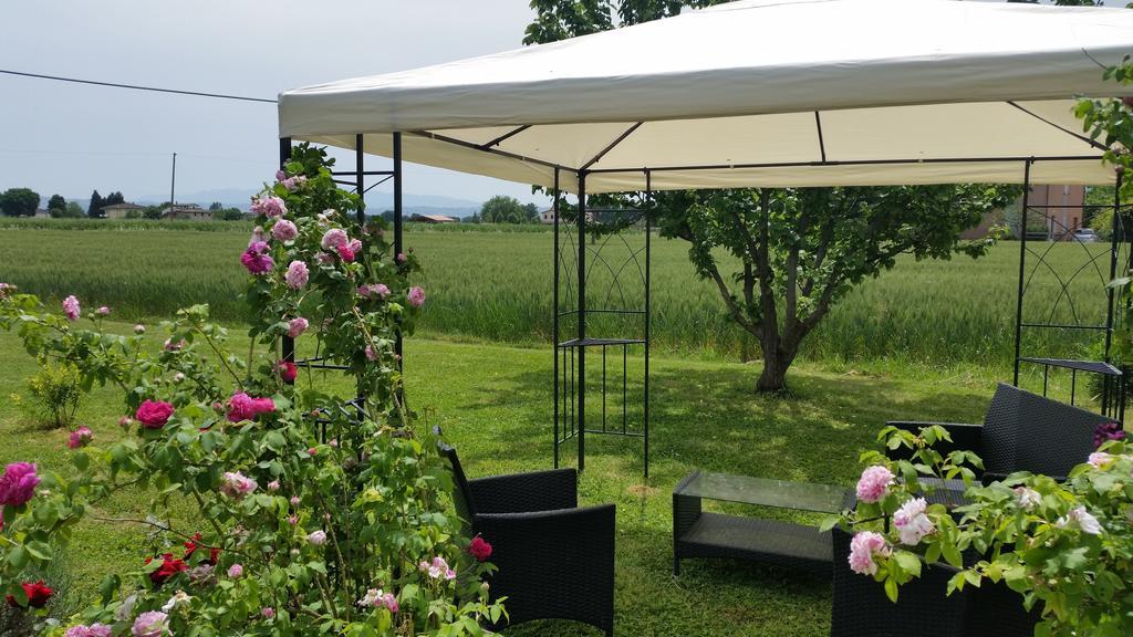 B&B Le Rose Spello Exteriör bild