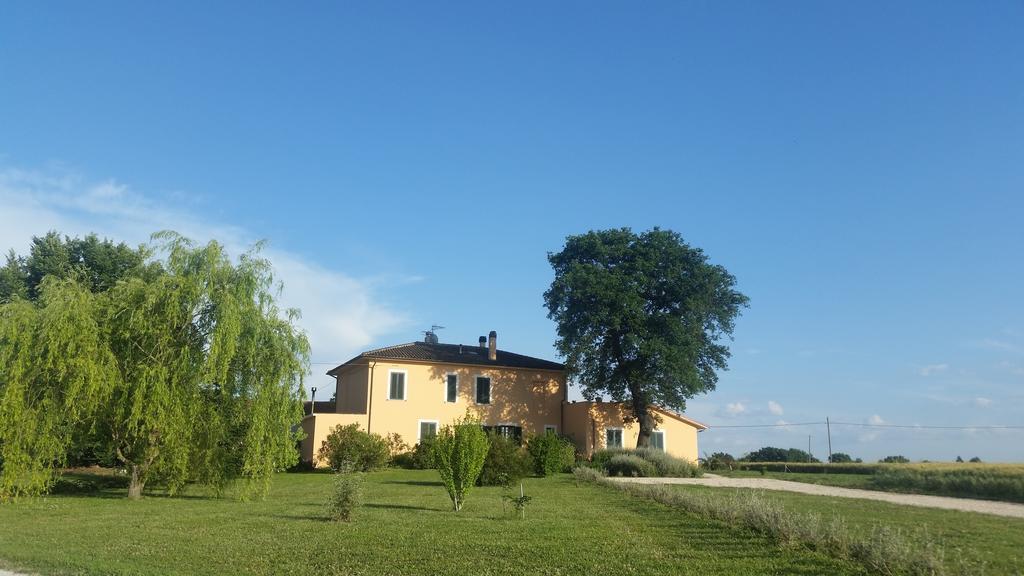 B&B Le Rose Spello Exteriör bild